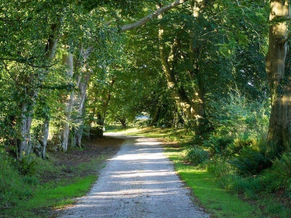 Le Manoir De La Fieffe Bed and Breakfast Cherbourg-en-Cotentin Esterno foto